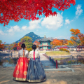 Seoul Travel Advice You Will Love
