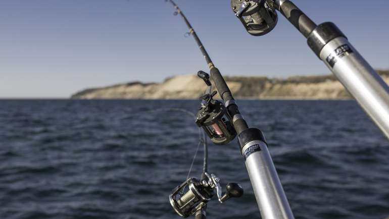 Types of fishing charter tours you can opt-in for